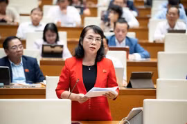 Đại biểu Quốc hội lo ngại dùng cát biển thay cát sông làm hạ tầng dự án