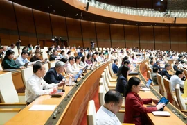 Quốc hội bàn một số điều của 10 luật có liên quan đến an ninh, trật tự