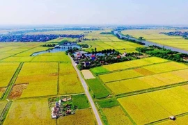 Loạt chính sách về đất nông nghiệp, tiền lương có hiệu lực năm 2026