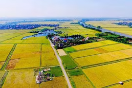 Loạt chính sách về đất nông nghiệp, tiền lương có hiệu lực năm 2026