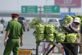 Hết cảnh bán ổi khu vực lối vào cao tốc Hà Nội - Hải Phòng?