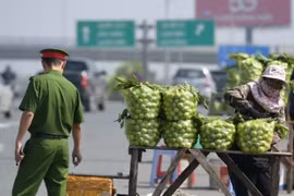 Hết cảnh bán ổi khu vực lối vào cao tốc Hà Nội - Hải Phòng?