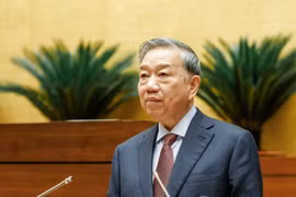 Lá phiếu cử tri phải được tiếp nối bằng chất lượng lập pháp