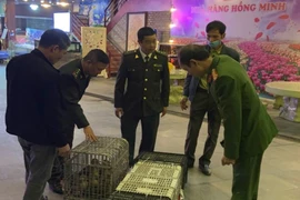 Nhà hàng ở Quảng Ninh mua bán trái phép động vật rừng