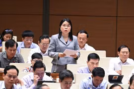 Chủ tịch tỉnh thẩm định quy hoạch sẽ mất tính khách quan