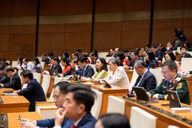 Bổ sung hơn 13.700 tỷ đồng dự toán thu ngân sách nhà nước năm 2024