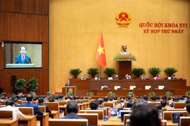 Quốc hội đồng ý thí điểm Luật sư công tại 8 bộ, 10 tỉnh, thành phố