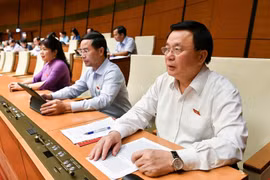 Xử lý vi phạm hành chính đối với hành vi cản trở tố tụng