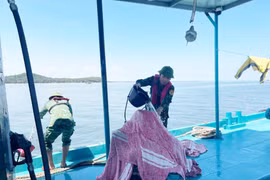 Nguyên nhân tàu bán xăng ở Quảng Ninh bốc cháy, 3 người bị bỏng