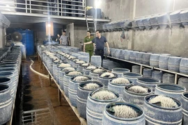 Khởi tố 3 đối tượng ngâm giá đỗ bằng chất cấm ở Lào Cai