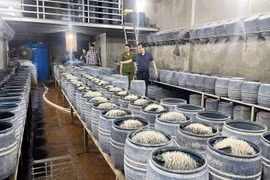 Khởi tố 3 đối tượng ngâm giá đỗ bằng chất cấm ở Lào Cai