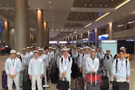ĐBQH Phạm Văn Hoà: 'Đừng để lao động Việt ở nước ngoài tự bơi' 