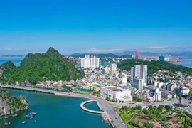 Quảng Ninh tiếp tục tinh gọn, sắp xếp các cơ quan, đơn vị 