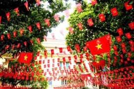 Hà Nội treo cờ Tổ quốc chào mừng Đại hội lần thứ XIV của Đảng