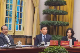 Chỉ kiểm soát một lần đối với mỗi dự án, công trình xây dựng