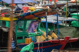 Cảnh báo nguy cơ lũ quét, sạt lở, sụt lún đất ở Quảng Ninh