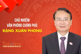 [INFO] Chân dung Chủ nhiệm Văn phòng Chính phủ Đặng Xuân Phong
