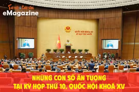 Những con số ấn tượng tại kỳ họp thứ 10, Quốc hội khoá XV