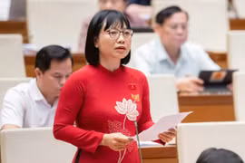 Phát triển kinh tế tư nhân: Băn khoăn “công ty ma” lợi dụng