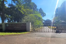 Nhiều sai phạm tài chính tại Tổng Công ty Cao su Đồng Nai