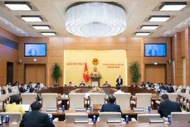 Ủy ban Thường vụ Quốc hội 'nhìn thẳng' bức xúc của cử tri