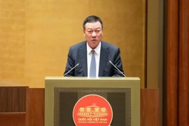 Chưa bổ sung tài sản số vào danh mục kê khai tài sản