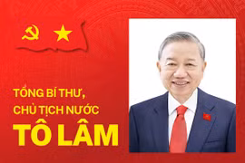 Chân dung Tổng bí thư, Chủ tịch nước Tô Lâm
