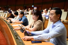 Cấm quảng cáo sai sự thật về chất lượng, nguồn gốc hàng hóa