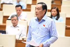 "Ma trận" hàng giả, hàng nhái: Truy trách nhiệm bộ, ngành?