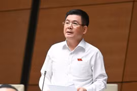 Chế tài xử lý vi phạm hàng giả, hàng nhái chưa đủ sức răn đe