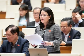 Cần giữ tính lịch sử vốn có của di tích khi xây sân bay Gia Bình