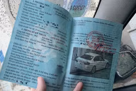 Hướng dẫn tra cứu giấy chứng nhận kiểm định điện tử từ ngày 1/3