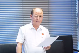 ĐBQH đề nghị chấm dứt ưu đãi nếu dự án vi phạm, chậm triển khai