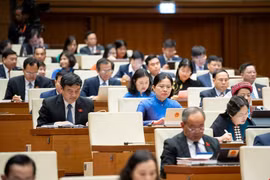 Những hoạt động lần đầu tiên chỉ có ở Quốc hội khoá XV