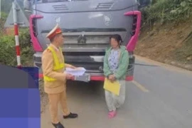 Nữ TikToker lái xe tải bị phạt vì dừng giữa đường tranh luận