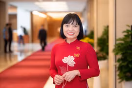 Đề xuất cấm trưng bày thuốc lá... cần lộ trình phù hợp