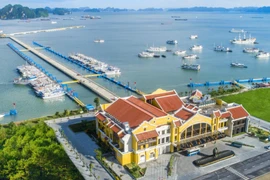 Bão WIPHA diễn biến phức tạp, Quảng Ninh tạm dừng cấp phép rời cảng, bến ra biển