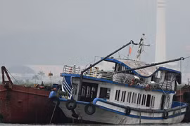 Vụ lật tàu Vịnh Xanh 58 trên Vịnh Hạ Long: 2 du thuyền xin lỗi vì bắn pháo hoa