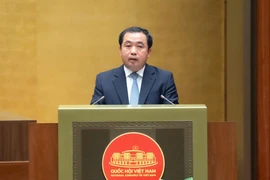 Sẽ có chiến lược quốc gia về đất hiếm