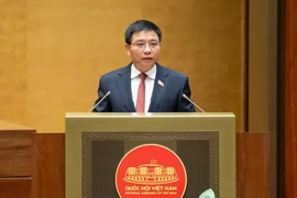 Phát triển Thành phố Hồ Chí Minh thành siêu đô thị đa cực