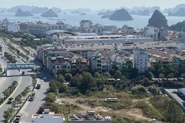 Quảng Ninh ra 'tối hậu thư' với dự án treo, xem xét trách nhiệm