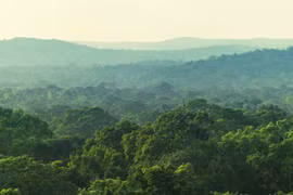 Chuyển hơn 4,38 ha rừng tự nhiên để làm mỏ đá vôi Hoàng Mai B
