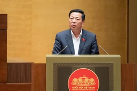 Cho phép cấp xã được lập, phê duyệt một số loại quy hoạch chi tiết