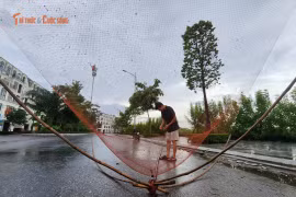 Nước ngập tràn, người dân Hà Nội đổ xô tung lưới bắt cá 