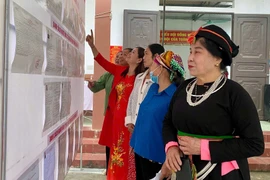 Cử tri cả nước nô nức đi bầu cử, tỷ lệ bỏ phiếu đã đạt 93,19%