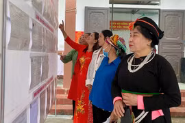 Cử tri cả nước nô nức đi bầu cử, tỷ lệ bỏ phiếu đã đạt 93,19%