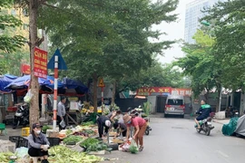 Hà Nội lên kế hoạch giải tỏa toàn bộ 'chợ cóc'