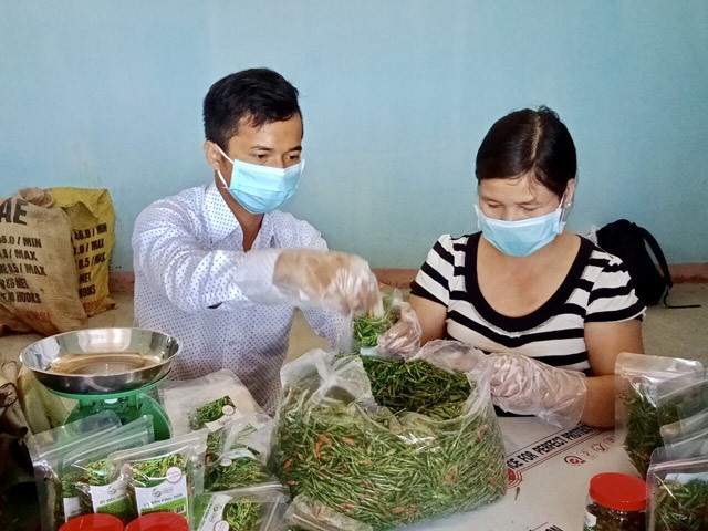 Sau một thời gian dài chuẩn bị, được sự trợ giúp của chính quyền huyện Sơn Hà, cùng với một số sản phẩm khác HTX NN sạch Sơn Hà đã xuất đợt ớt xiêm núi đầu tiên (gần 40 kg) vào hệ thống siêu thị để bày bán, với giá ớt trái tươi đóng gói (trọng lượng 100gram) là 18.500 đồng/gói; ớt muối (200gram/lọ) là 31.000 đồng/lọ. Đây cũng là đơn vị đầu tiên ở Quảng Ngãi đưa nông sản này ra quảng bá rộng rãi ở các tỉnh thành khác trong nước.