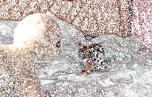 Chú mèo con này đang muốn thực hành kỹ năng tiếp cận đối tượng mà không phát ra tiếng động.