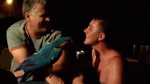 Chắc hẳn con chim này cảm thấy không được tôn trọng nên đã tấn công nhanh như chớp vào mặt của thanh niên trêu chọc nó.